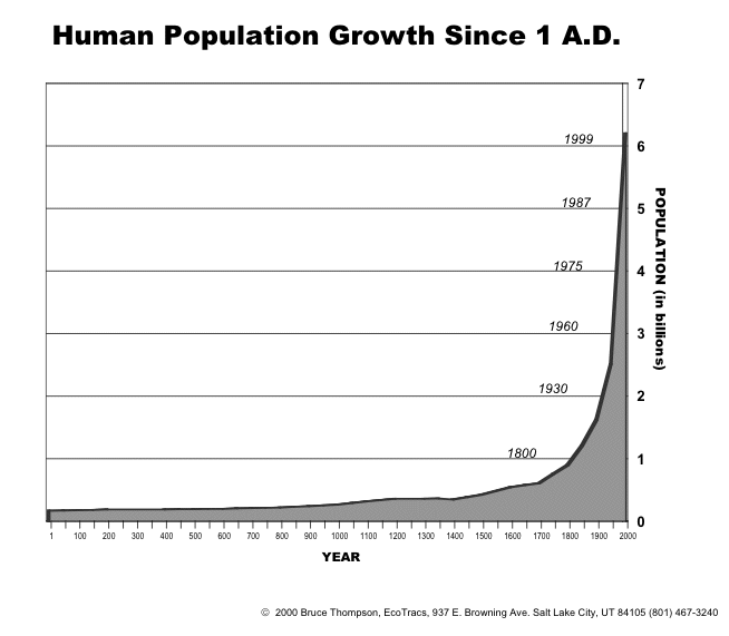 This figure illustrates the primary characteristic of exponential growth - a 
